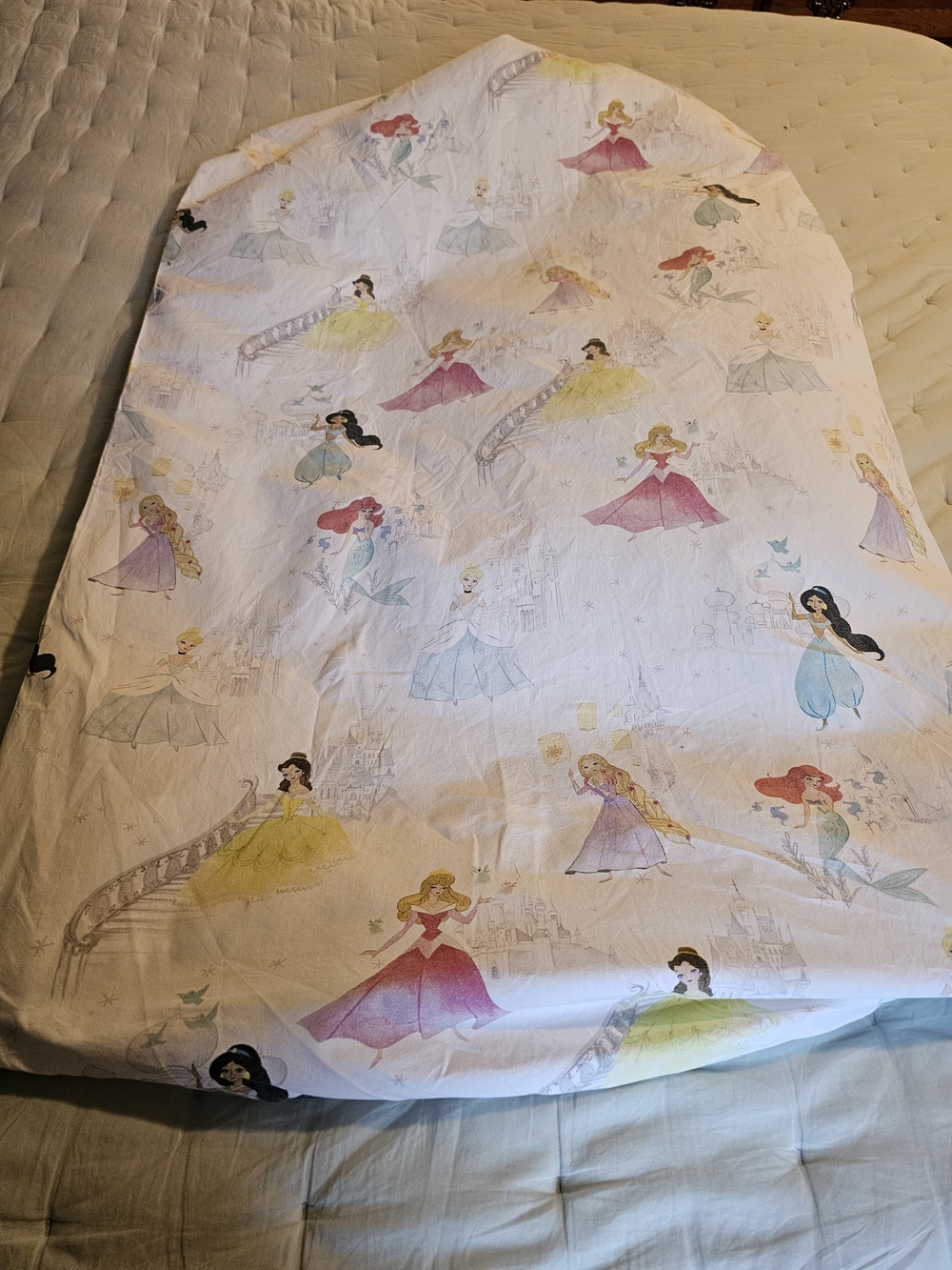 Pottery Barn Kids Disney Princess  Crib Sheet